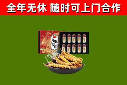 上蔡烟酒回收冬虫夏草礼盒.jpg